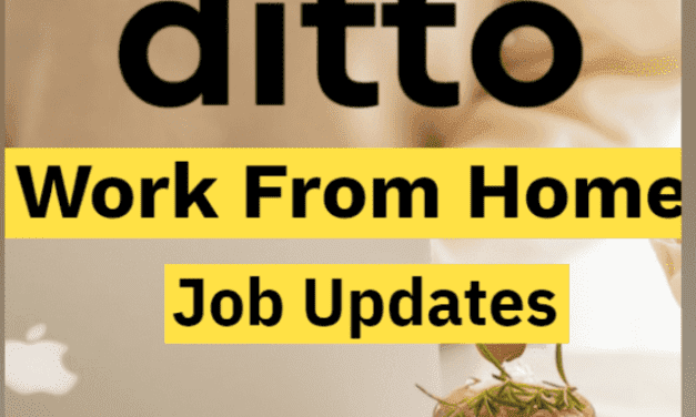 Ditto Work from Home freshers Drive