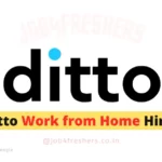 Ditto Work from Home Hiring | Full Time | Apply Now!