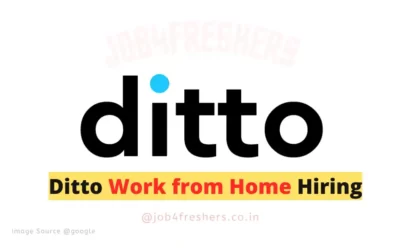FRESHERS JOBS 6 Ditto Work from Home freshers Drive | Full Time | Apply Now!