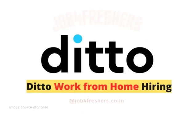 Ditto Work from Home freshers Drive | Full Time | Apply Now!