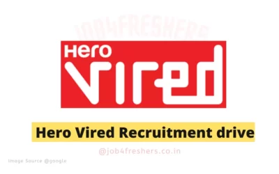 FRESHERS JOBS 18 Hero Vired |Dot Net Developers |Part Time |Work From Home!