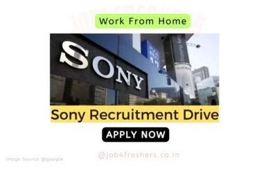 Sony Work From Home Internship 2025 | Off Campus Drive