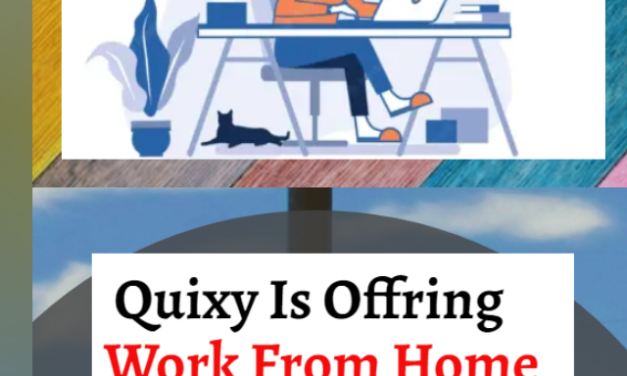 Quixy Careers Hiring Work From Home |Apply Now!