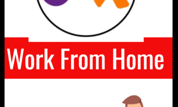 Olx Careers Is Looking For Catalog Manager | Apply Now!!