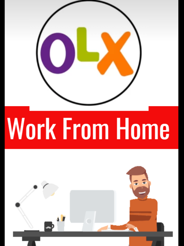 Olx Careers Is Looking For Catalog Manager | Apply Now!!