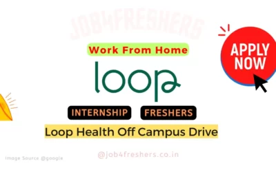 Work From Home Internship For Fresher |Details Inside!