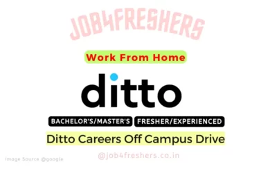 Work From Home Job in Ditto Careers 2023 | Any Degree |Apply Now!