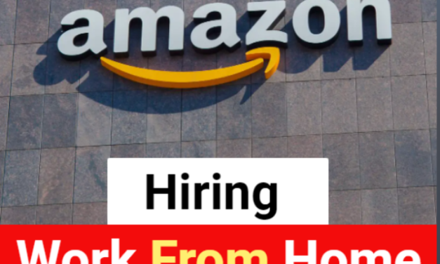12th Pass Work from Home Job Amazon