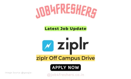 Ziplr Off Campus 2023 Hiring Python Developer Internship |Apply Now!
