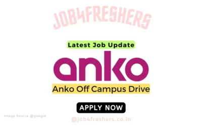 Anko Recruitment 2023 |Lead Business Analyst |Apply Now!