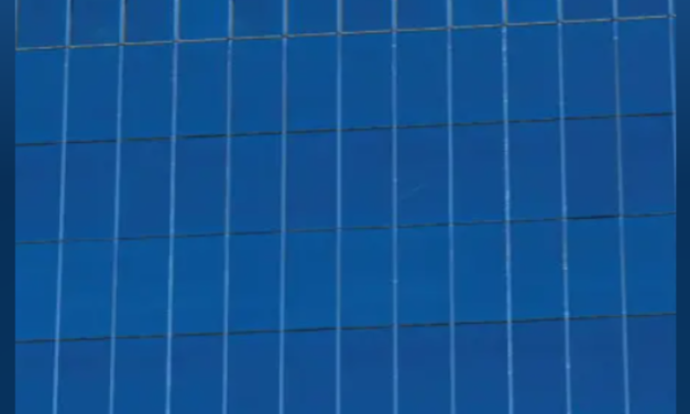 Oracle recruitment drive 2023