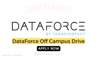 DataForce Part Time Work from Home Job 2024