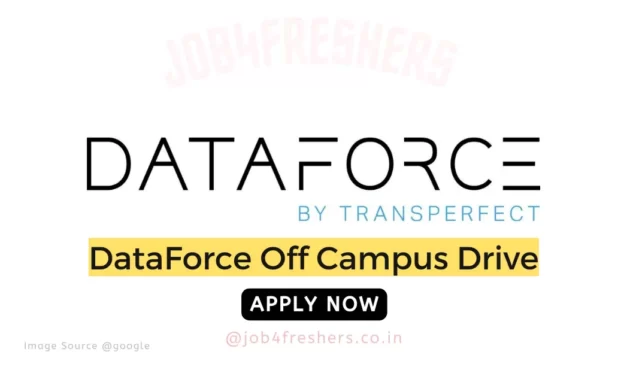 DataForce Part Time Remote Job Off Campus 2024 Hiring