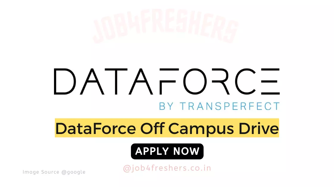 DataForce Part Time Work from Home Job 2024 | Apply Now!