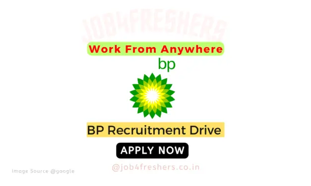 British Petroleum Recruitment 2024 | Work From Home Job