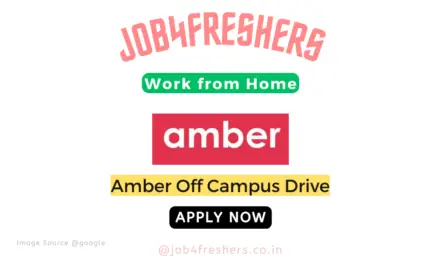 Amber Work From Home Opportunity For Fresh Interns | Apply Now!