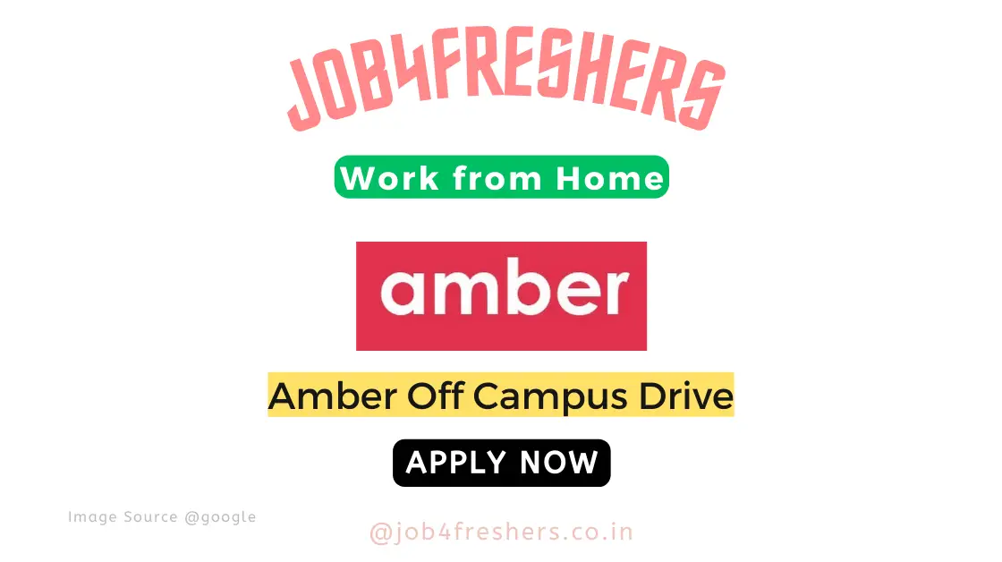 Amber Work From Home Opportunity For Fresh Interns | Apply Now!