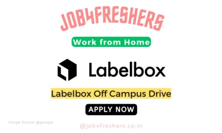 Labelbox Off Campus 2024 Hiring Work From Home | Hindi