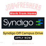 Syndigo Career Work From Home Job For Data Entry | Apply Now!