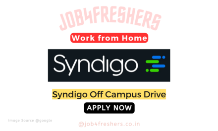 Syndigo Career Work From Home Job For Data Entry | Apply Now!