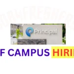 Principal Careers 2024 Hiring For Software Engineer | Apply Now!