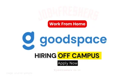 Goodspace Customer Support Executive | Work From Home