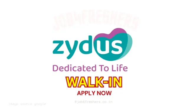 Zydus Walk-in Drive for Trainee Officer Role | Don’t Miss this Opportunity